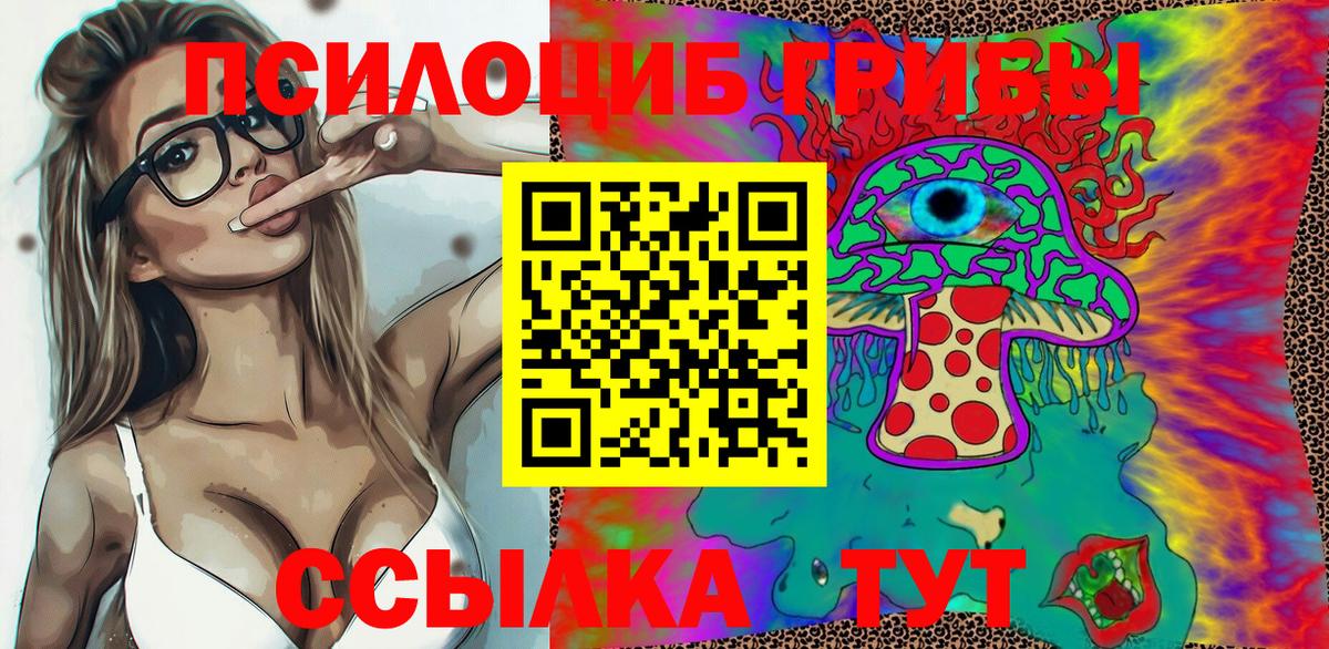 Галлюциногенные грибы Psilocybe Воронеж