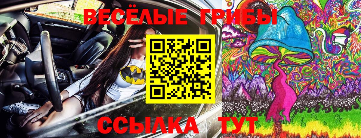 Воронеж  Псилоцибиновые грибы Psilocybe  Галлюциногенные грибы мицелий  Вход с VPN 